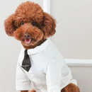 Pawda White Dog Shirt + Tie