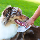 Hypo-Allergenic Cat Grooming Wipes