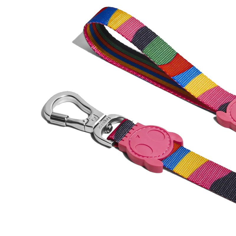 Chroma Leash