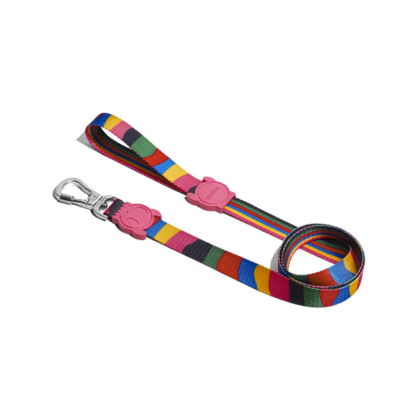 Chroma Leash