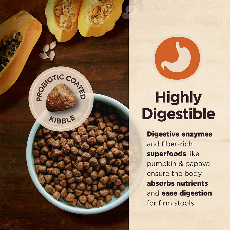 Core Digestive Health Wholesome Grains Chicken & Brown Rice Recipe Dry Dog Food