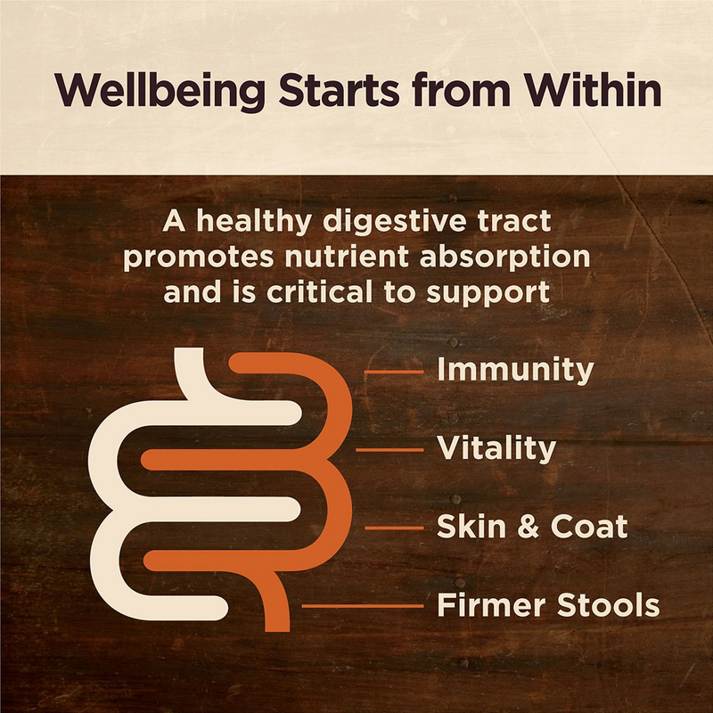 Core Digestive Health Wholesome Grains Chicken & Brown Rice Recipe Dry Dog Food
