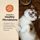 Core Digestive Health Wholesome Grains Chicken & Brown Rice Recipe Dry Dog Food