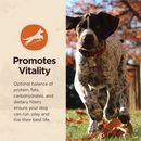 Core Digestive Health Wholesome Grains Chicken & Brown Rice Recipe Dry Dog Food