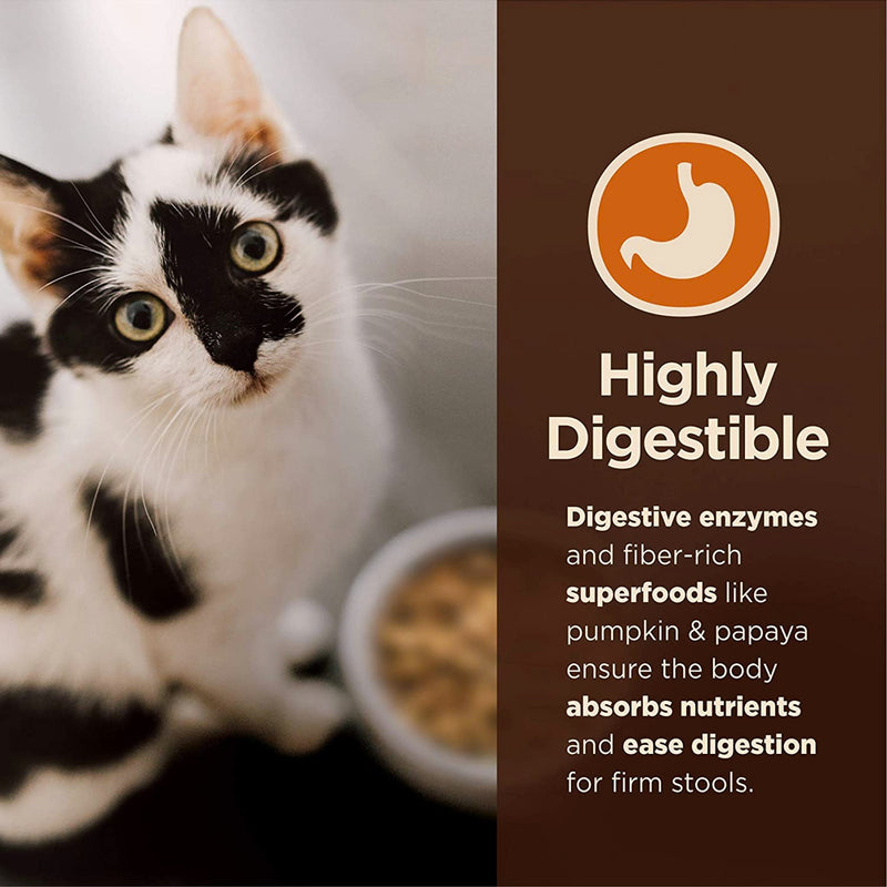 Core Digestive Health Salmon Pate Recipe Grain-Free Canned Cat Food