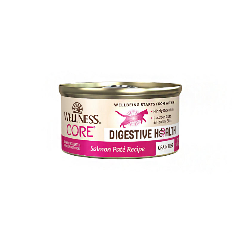 Core Digestive Health Salmon Pate Recipe Grain-Free Canned Cat Food