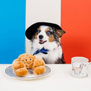 NomNomz - Croissant Squeaky Plush Dog Toy