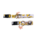 Doodyel Dog And Cat Collar
