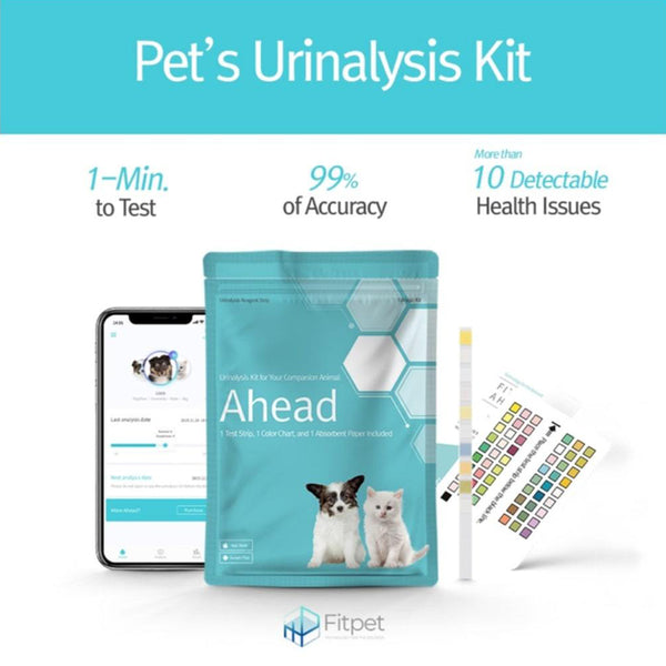 Ahead Single Pack Dog & Cat Urinalysis Kit
