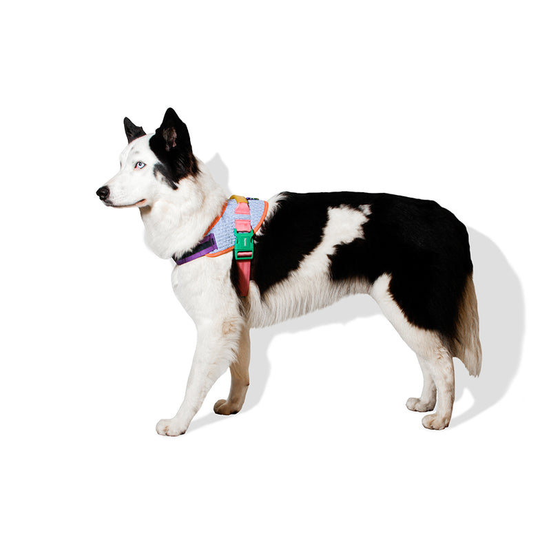 Galaxy Fly Harness