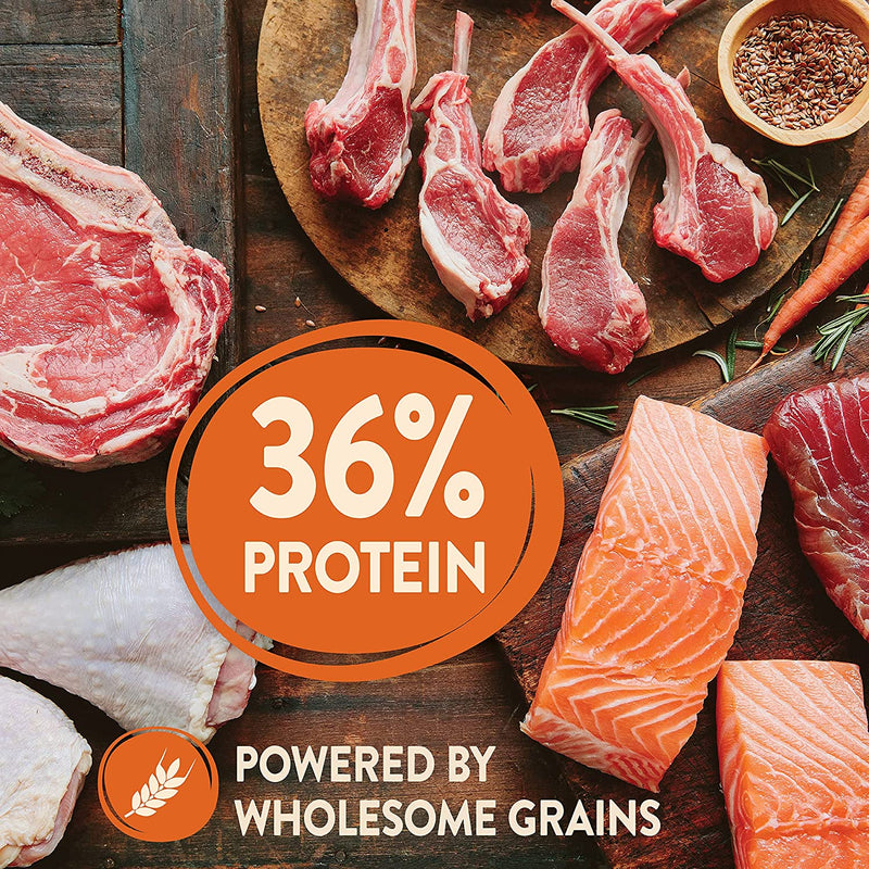 Core Wholesome Grains Small Breed High Protein Turkey & Chicken Dog Food