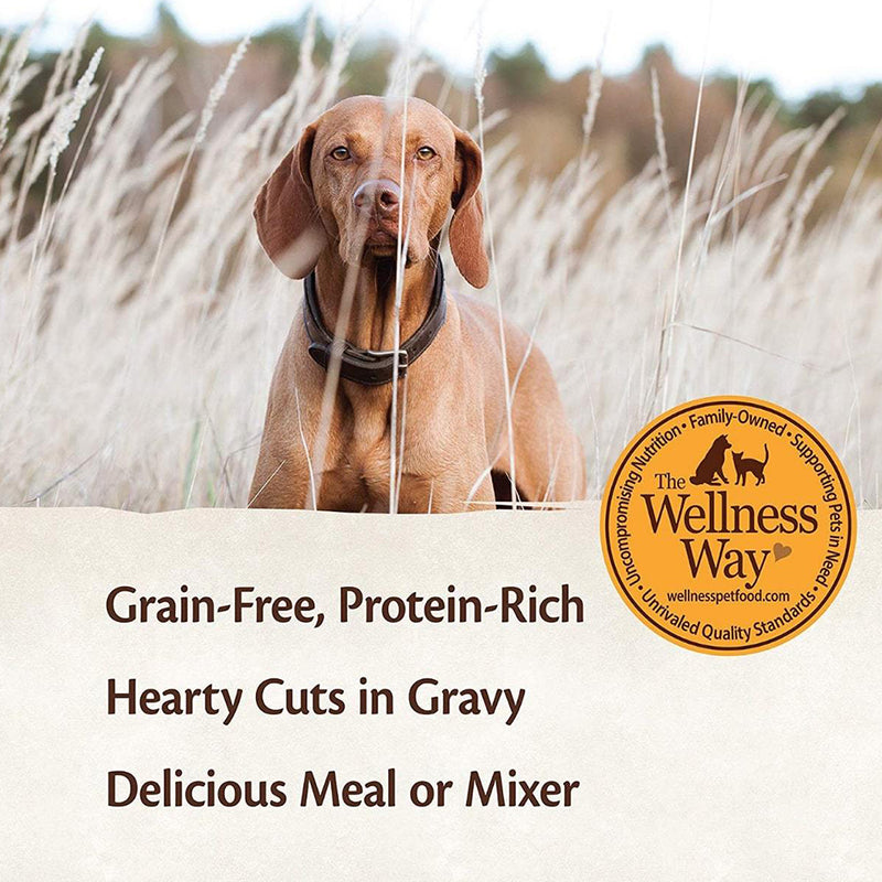 CORE Hearty Cuts in Gravy Chicken & Turkey Recipe Grain-Free Dog Food