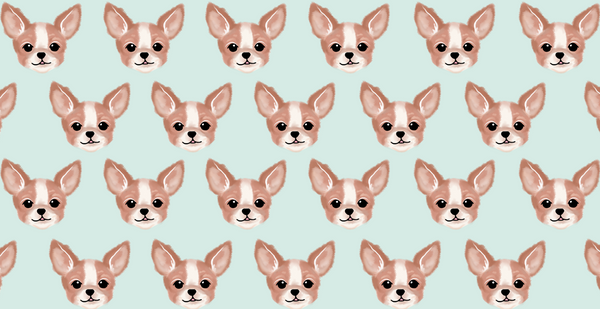 Chihuahua Microfiber Pet Towel