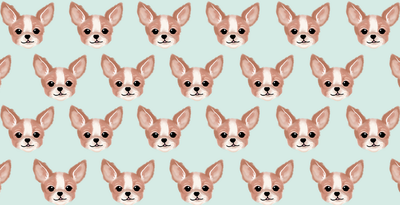 Chihuahua Microfiber Pet Towel