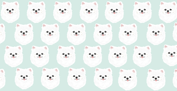 White Pomeranian Microfiber Pet Towel