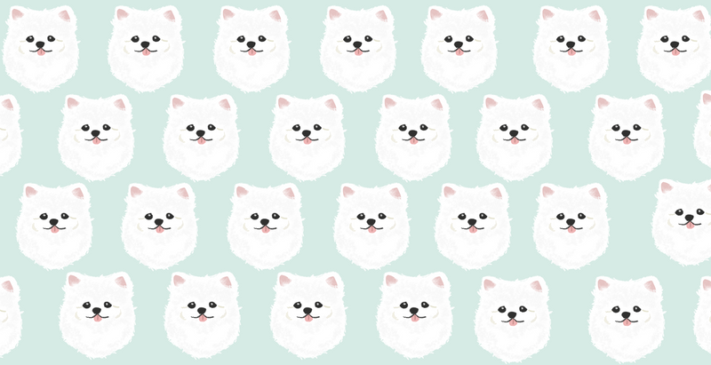 White Pomeranian Microfiber Pet Towel