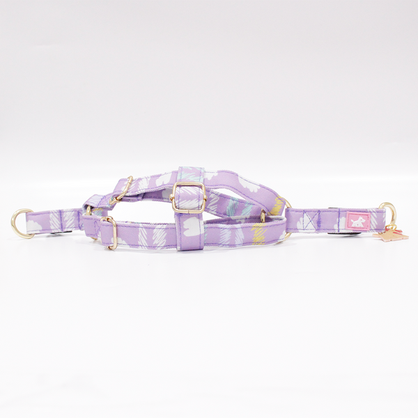 Dream Walk In Dog Harness