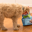 Grain-Free Freeze-Dried Supplement Booster, Lamb Green Tripe Dog Food