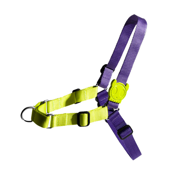 Lemonade Soft-Walk Harness