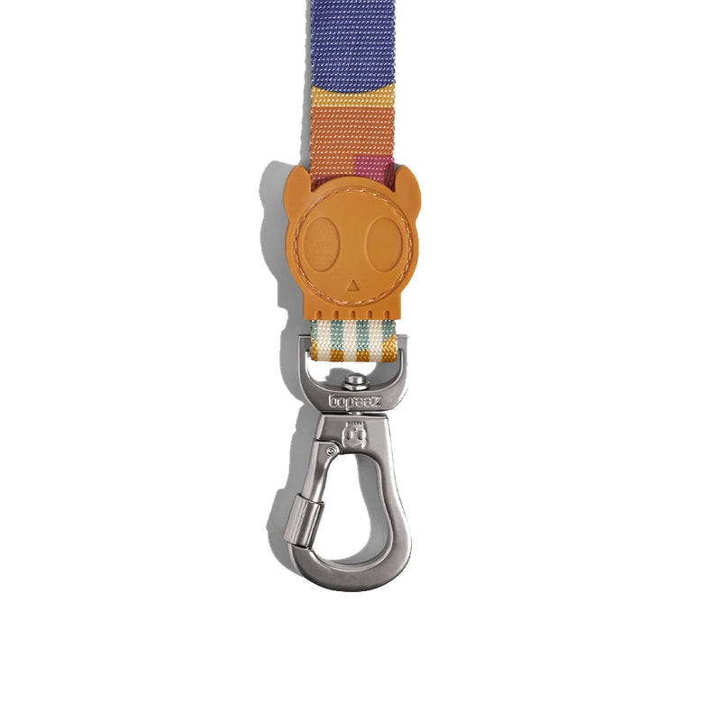 Maze Leash