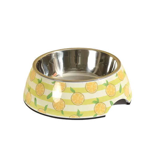 Melamine Pet Stainless Steel Bowl Printing Custom Single