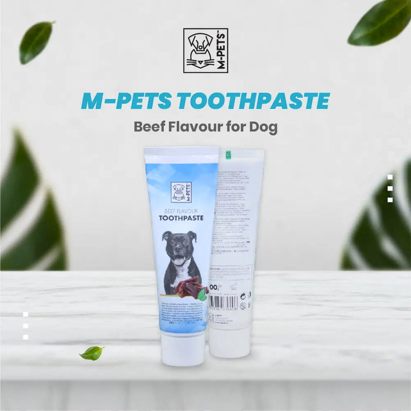 Toothpaste Beef Flavor For Dogs