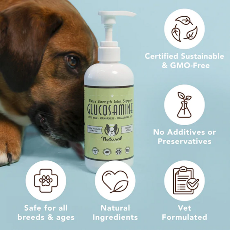 Liquid Glucosamine For Dogs