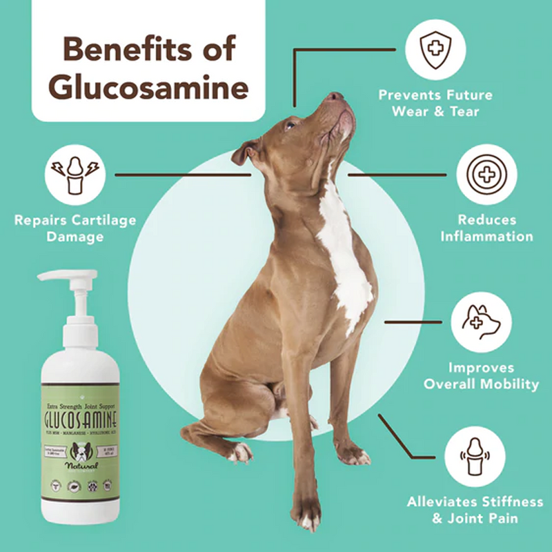 Liquid Glucosamine For Dogs