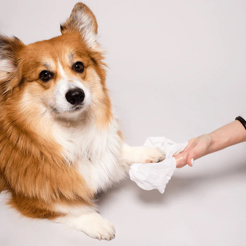 Grooming Wipes For Dogs