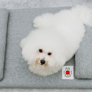 Neru Two Dogs and Cats Bed