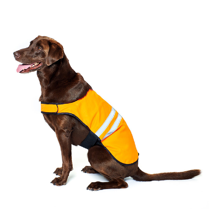 Cooling Vest - Orange For Dogs