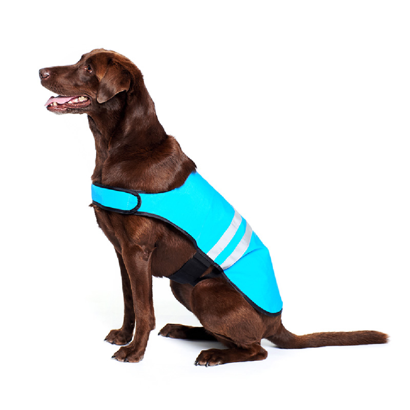 Cooling Vest - Blue For Dogs