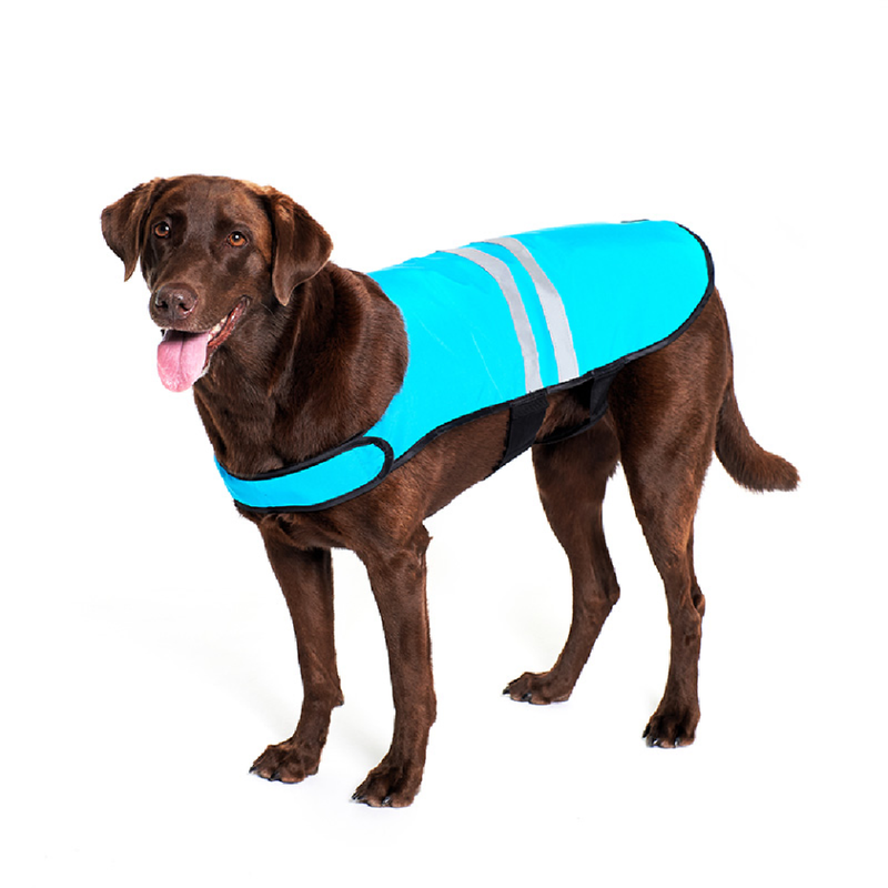 Cooling Vest - Blue For Dogs