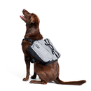 Adventure Backpack Graphite For Dogs