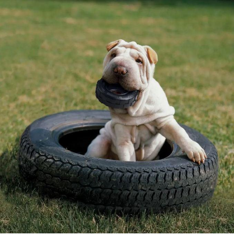 Extreme Tires Dog Toy