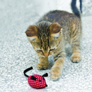 Softies Catnip Mice 2-Pack for Cats