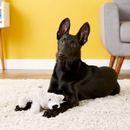 Cozie Buster Koala Dog Toy