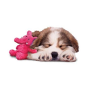 Cozie Elmer Elephant Dog Toy