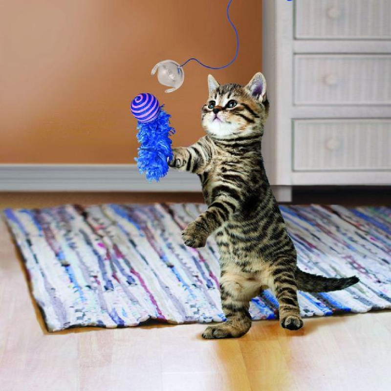 KONG Active Fishing Pole Teaser Cat Toy