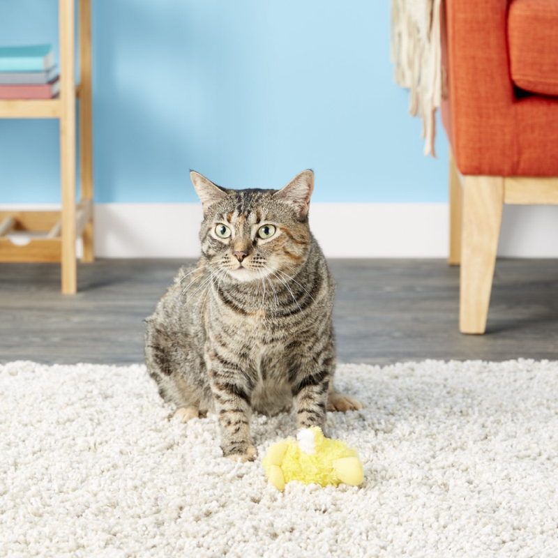 Refillables Catnip Duckie for Cats