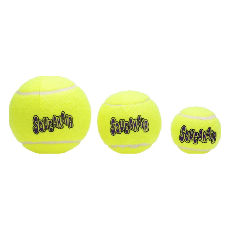 Squeakair Ball Dog Toy