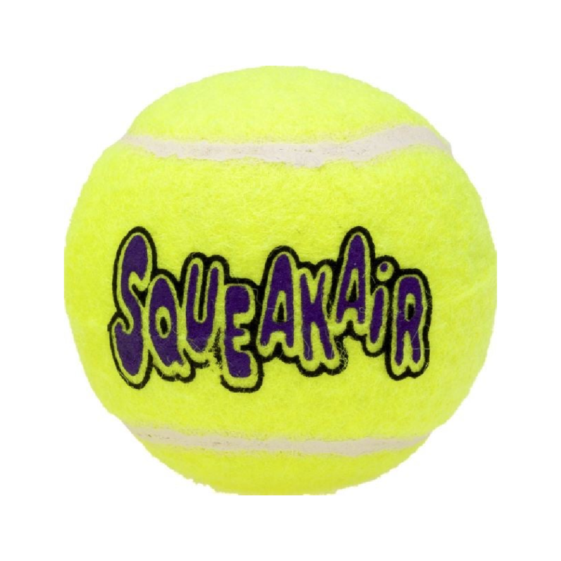 Squeakair Ball Dog Toy