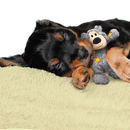 Wild Knots Bear Dog Toy Small/Medium