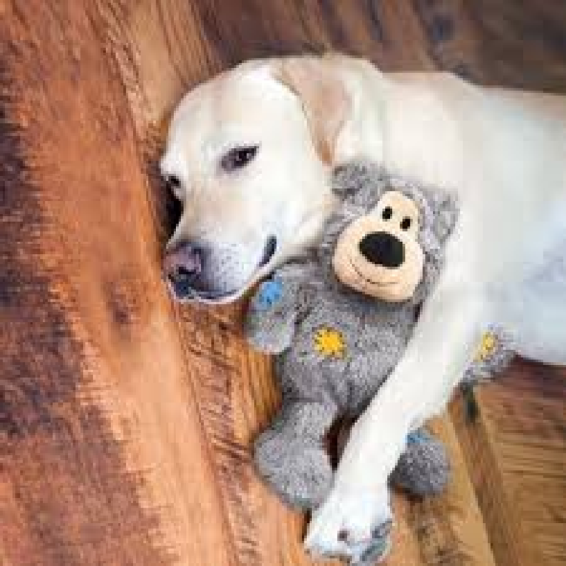 Wild Knots Bear Dog Toy Small/Medium