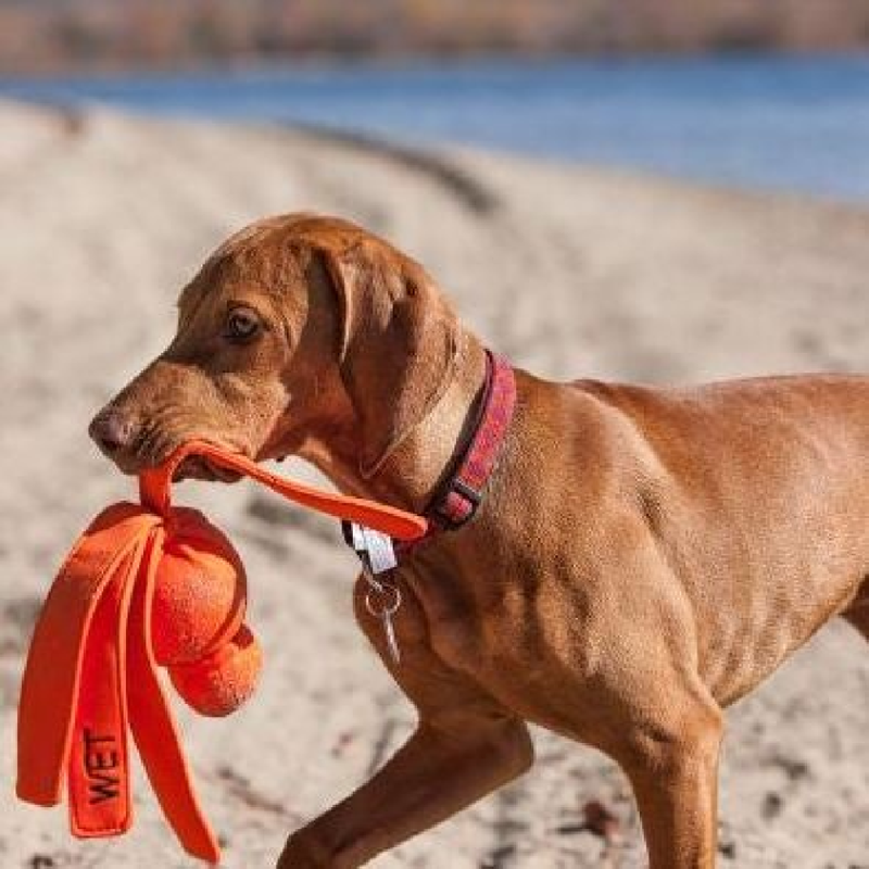 Wubba Dog Toy