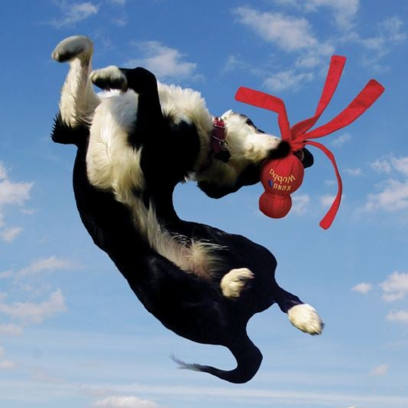 Wubba Dog Toy