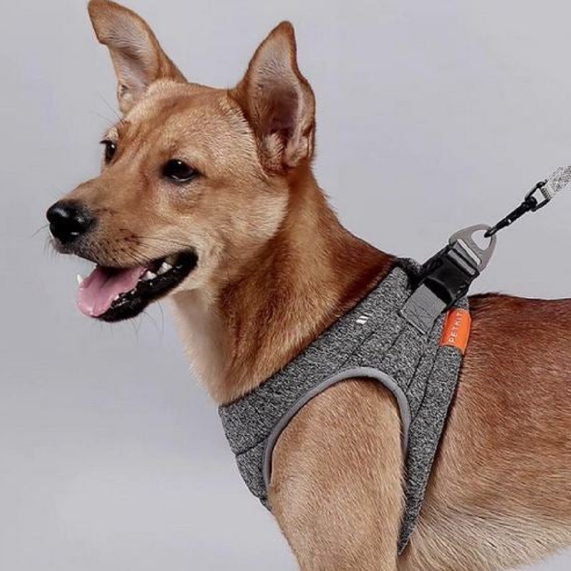 Air Pro Dog Harness