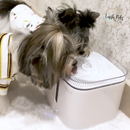 Eversweet Gen 2 Smart Drinking Pet Fountain 2L