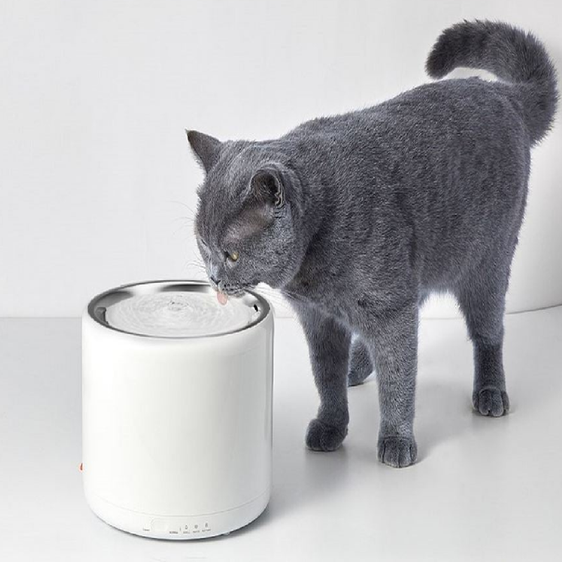 Eversweet Gen 3 Smart Pet Drinking Fountain