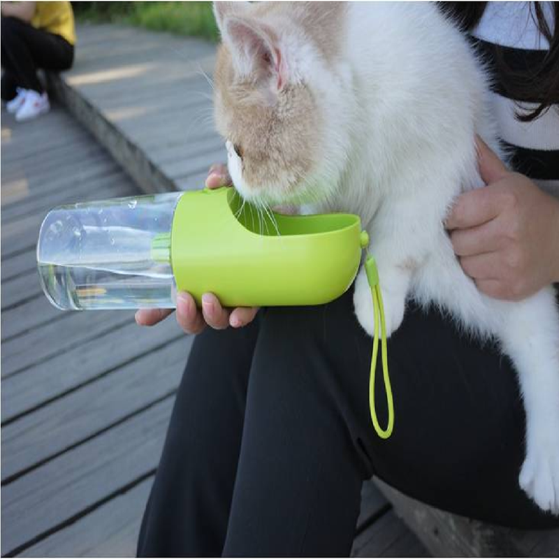 Eversweet Travel Drinking Bottle